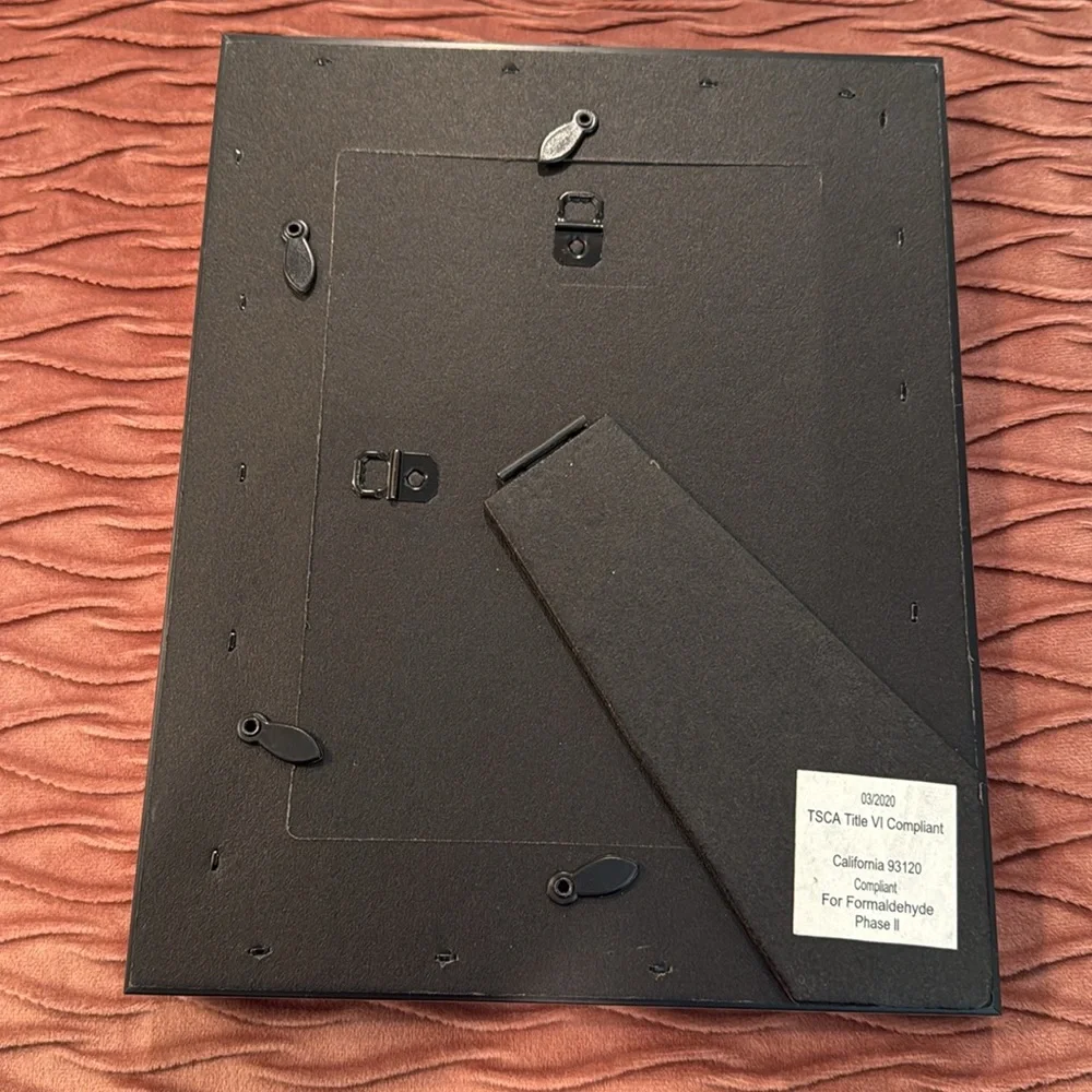 Silver and Black Picture Frame